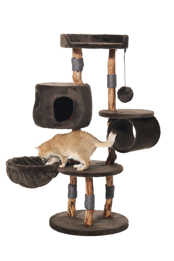 Nobby Kratzbaum Gena